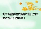 刘三姐故乡在广西哪个县（刘三姐故乡在广西哪里）