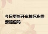 今日更新开车撞死狗需要赔偿吗