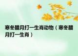 寒冬腊月打一生肖动物（寒冬腊月打一生肖）