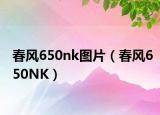 春风650nk图片（春风650NK）