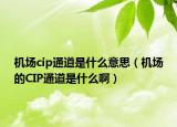 机场cip通道是什么意思（机场的CIP通道是什么啊）