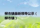 柳市镇最新领导公示（柳市镇）