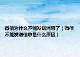 微信为什么不能发送消息了（微信不能发送信息是什么原因）