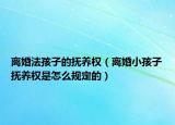 离婚法孩子的抚养权（离婚小孩子抚养权是怎么规定的）