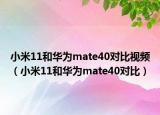 小米11和华为mate40对比视频（小米11和华为mate40对比）