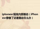 iphonexr摇晃内部振动（iPhonexr静音了还是振动怎么办）