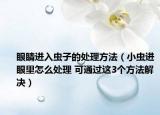 眼睛进入虫子的处理方法（小虫进眼里怎么处理 可通过这3个方法解决）