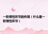 一阶惯性环节的作用（什么是一阶惯性环节）