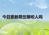 今日更新荷兰猪咬人吗