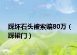 踩坏石头被索赔80万（踩裙门）