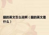 腿的英文怎么说啊（腿的英文是什么）