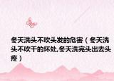 冬天洗头不吹头发的危害（冬天洗头不吹干的坏处,冬天洗完头出去头疼）