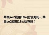苹果se2能用18w的快充吗（苹果se2能用18w快充吗）