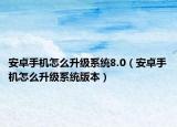 安卓手机怎么升级系统8.0（安卓手机怎么升级系统版本）