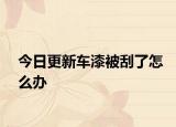 今日更新车漆被刮了怎么办