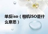 单反iso（相机lSO是什么意思）