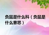 负鼠是什么科（负鼠是什么意思）