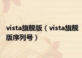vista旗舰版（vista旗舰版序列号）