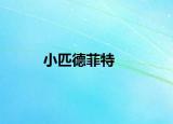 小匹德菲特