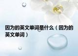 因为的英文单词是什么（因为的英文单词）
