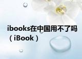 ibooks在中国用不了吗（iBook）