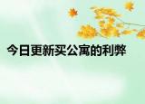 今日更新买公寓的利弊