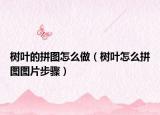 树叶的拼图怎么做（树叶怎么拼图图片步骤）