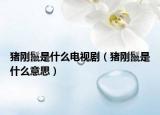 猪刚鬣是什么电视剧（猪刚鬣是什么意思）