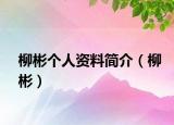 柳彬个人资料简介（柳彬）
