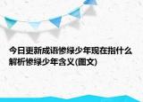 今日更新成语惨绿少年现在指什么解析惨绿少年含义(图文)