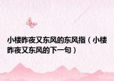 小楼昨夜又东风的东风指（小楼昨夜又东风的下一句）