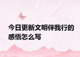 今日更新文明伴我行的感悟怎么写