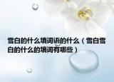 雪白的什么填词语的什么（雪白雪白的什么的填词有哪些）