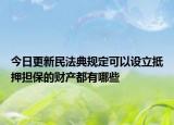 今日更新民法典规定可以设立抵押担保的财产都有哪些
