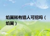 焰翼稀有猎人可招吗（焰翼）