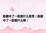 膝盖中了一箭是什么意思（膝盖中了一箭是什么梗）