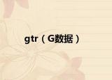 gtr（G数据）