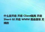 什么是开启 开启 Client隔离 开启 Short GI 开启 WMM 路由器里 无线的