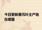 今日更新番泻叶主产地在哪里