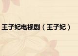 王子妃电视剧（王子妃）