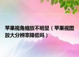苹果视角缩放不明显（苹果视图放大分辨率降低吗）