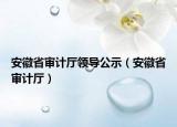 安徽省审计厅领导公示（安徽省审计厅）