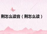 荆怎么读音（荆怎么读）
