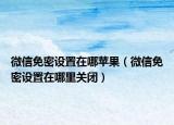 微信免密设置在哪苹果（微信免密设置在哪里关闭）