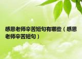 感恩老师辛苦短句有哪些（感恩老师辛苦短句）