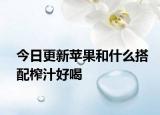 今日更新苹果和什么搭配榨汁好喝