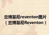 兰博基尼reventon图片（兰博基尼Reventon）
