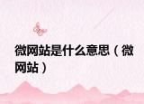 微网站是什么意思（微网站）