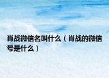 肖战微信名叫什么（肖战的微信号是什么）