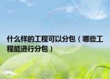 什么样的工程可以分包（哪些工程能进行分包）